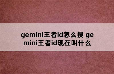 gemini王者id怎么搜 gemini王者id现在叫什么